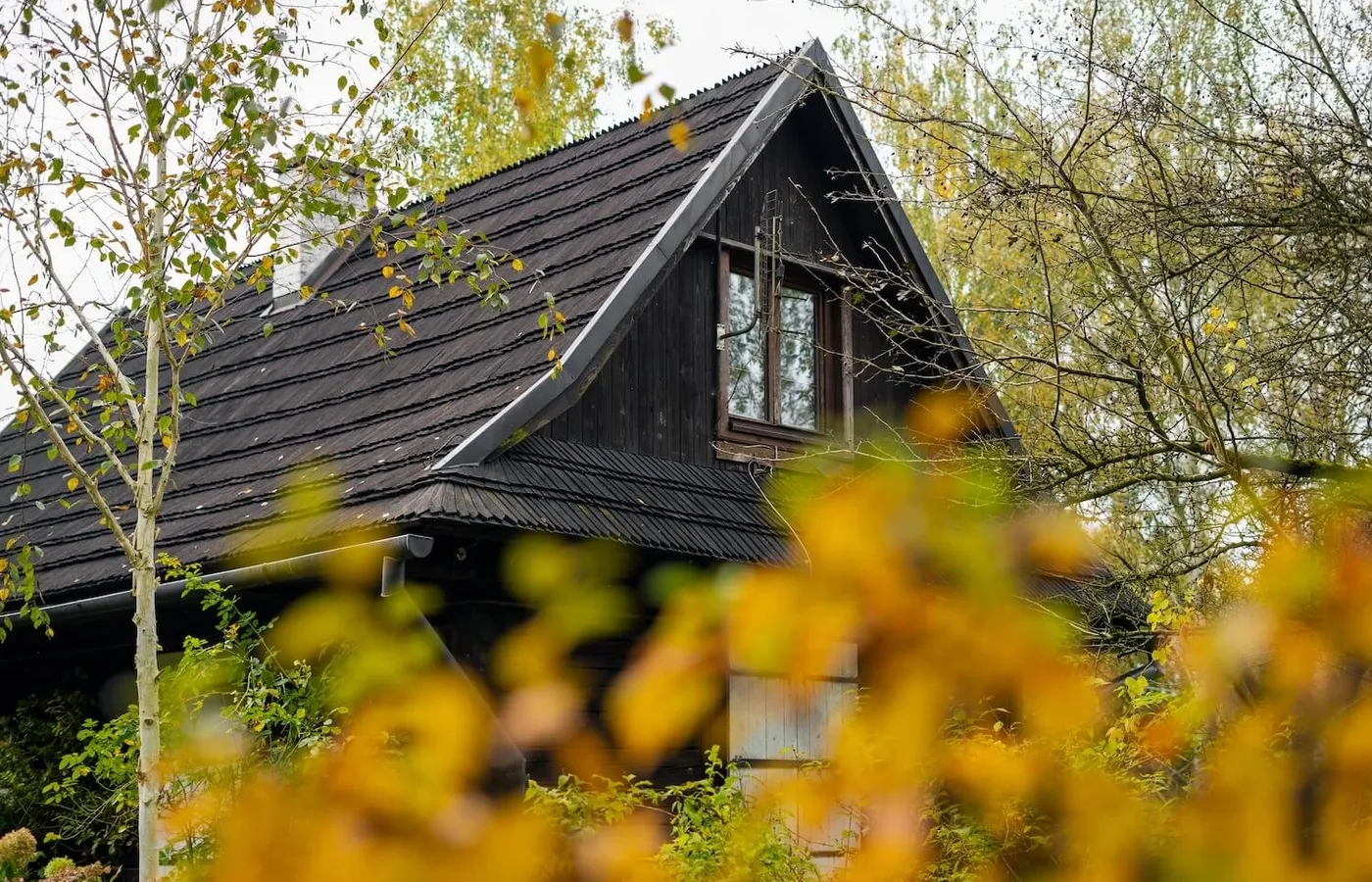 Your Autumn Roof Check: 7 Common Fall Challenges