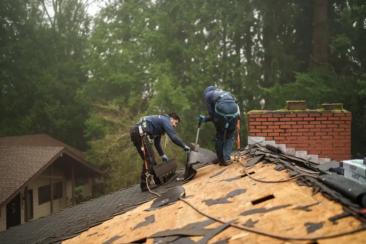 Sunnyside Roofing professional performing a roof cleaning and maintenance inspection
