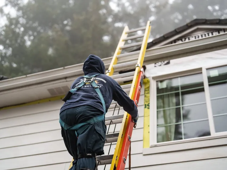 Sunnyside Roofing professional performing a roof cleaning and maintenance inspection